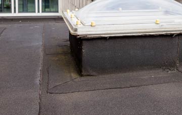 disadvantages of Frome St Quintin flat roofs