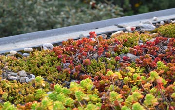 the cost of Frome St Quintin green roof installation