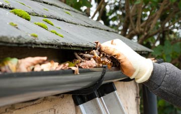 gutter cleaning Frome St Quintin, Dorset