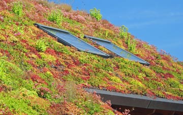 Frome St Quintin living roof systems
