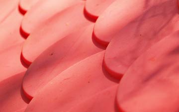 Frome St Quintin plastic roof costs