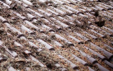 Frome St Quintin roof cleaning companies