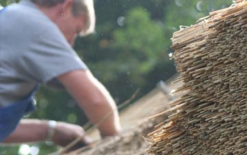 professional Frome St Quintin thatchers