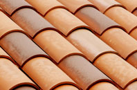 Frome St Quintin clay roofing