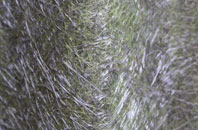 Frome St Quintin fibreglass roof work